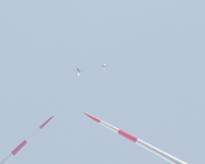 Spoonbill - Jan Erik Kikkert - 30 March 2019