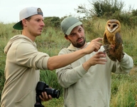 Barn Owl - Han Buckx - 18 September 2021