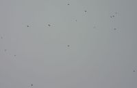 Jay - Bernhard Kondziella - 2 October 2010