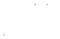 Ringed Plover - Alex Bos - 21 September 2013