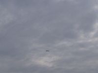 Black Stork - Marc Smets - 11 October 2014