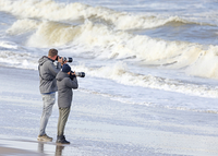 Grey Phalarope - Phalaropus fulicarius - René van Rossum - 17 September 2022