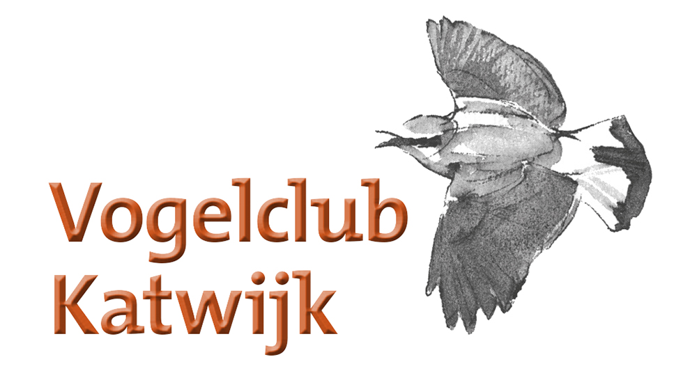 De Puinhoop (Katwijk)