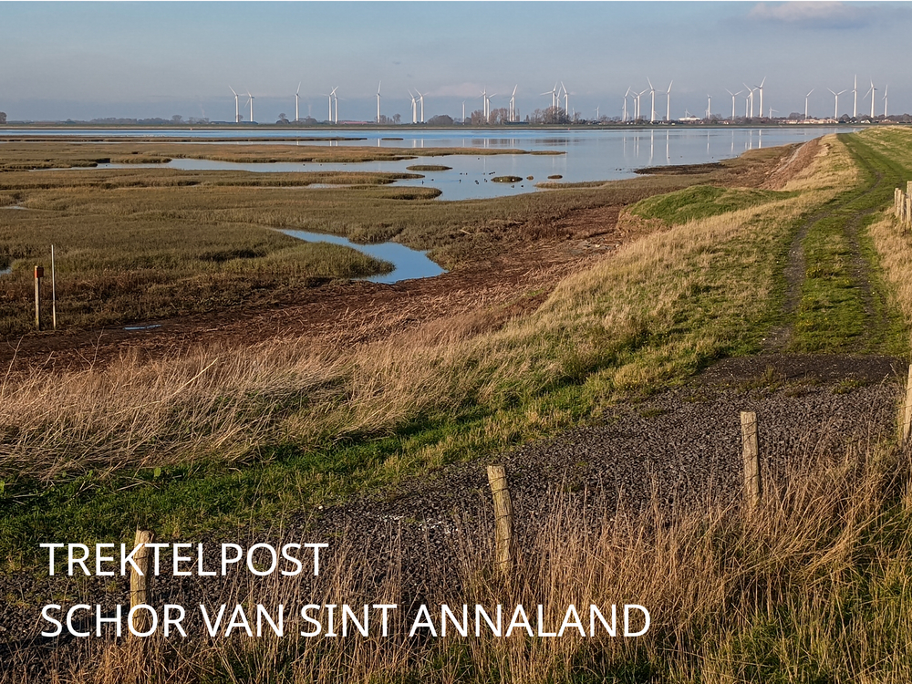 Schor van Sint Annaland