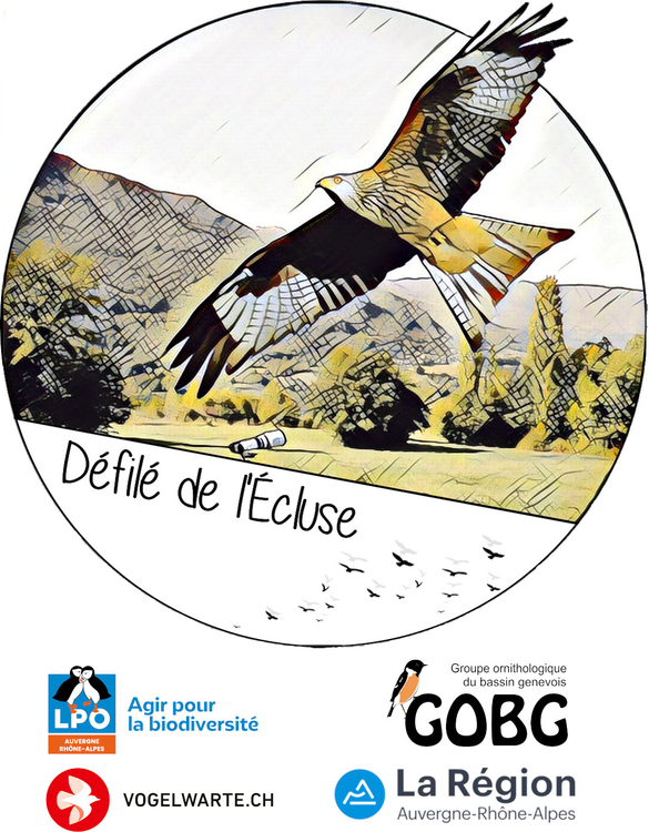 Défilé de l'Ecluse - Chevrier (74)