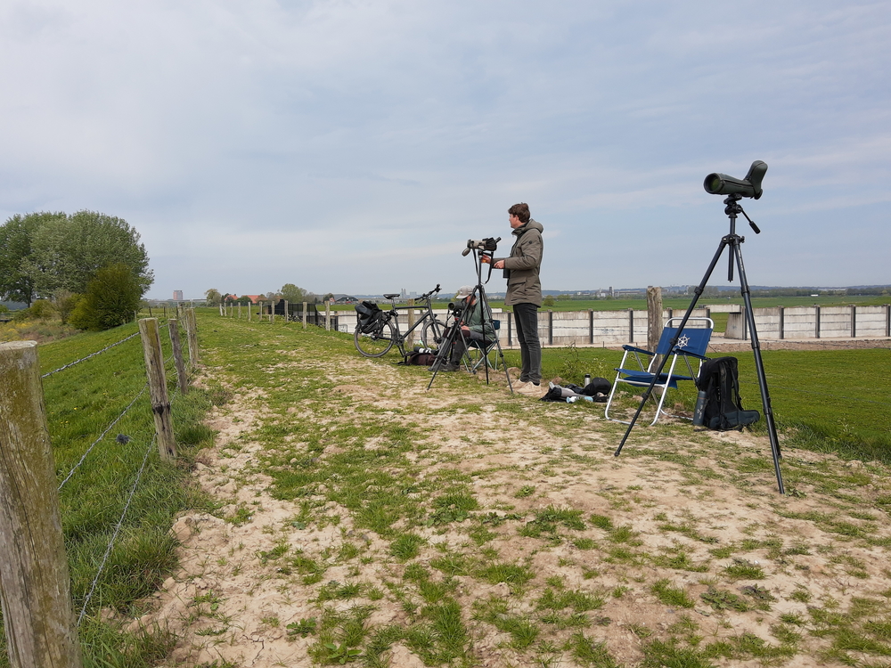 Hondsbroekse Pleij, Arnhem