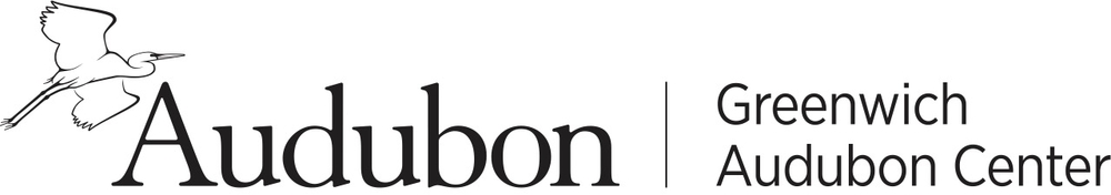 Quaker Ridge Hawk Watch, Greenwich (CT)