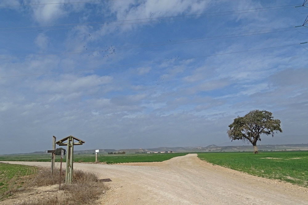 Embalse la Sotonera-La Mezquita