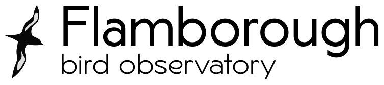 Flamborough Head (seawatch)